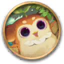普吉SP